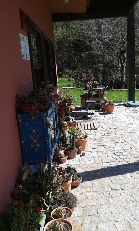 Hotel Eco Camping Juncal Marco de Canavezes Exterior foto