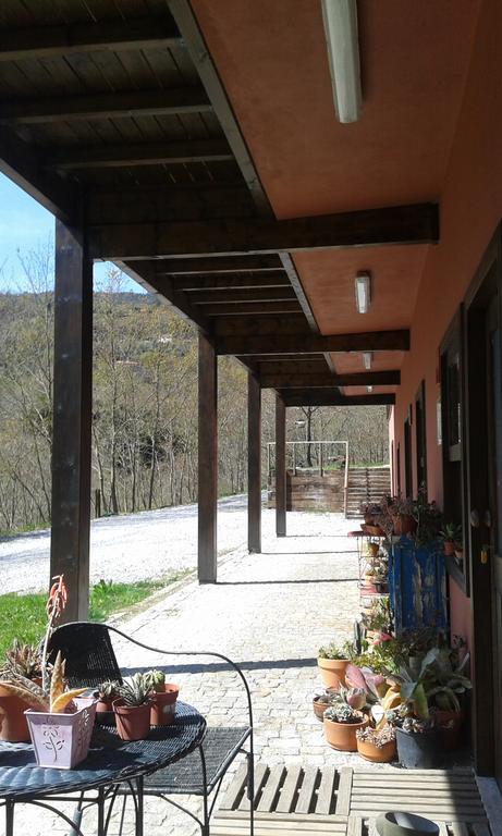 Hotel Eco Camping Juncal Marco de Canavezes Exterior foto
