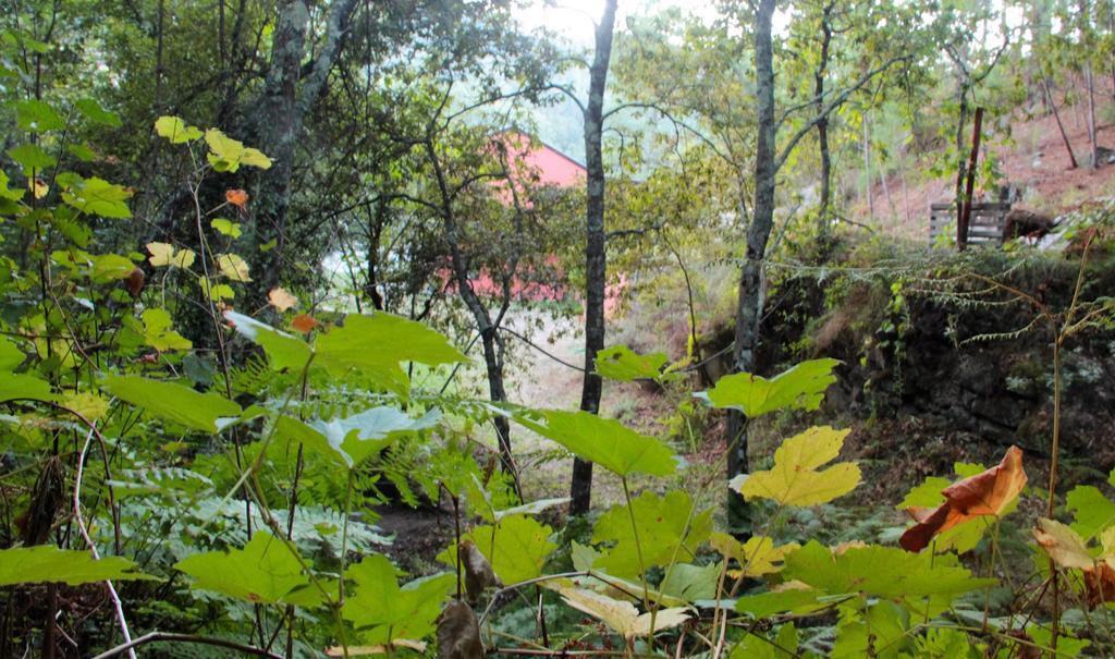 Hotel Eco Camping Juncal Marco de Canavezes Exterior foto